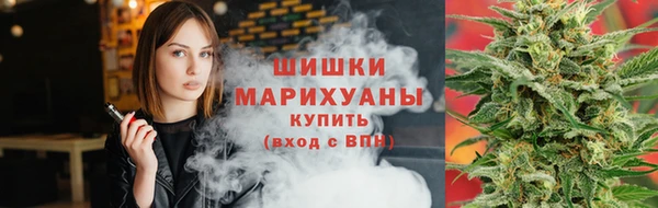 стаф Магас