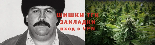 индика Майский