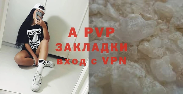 стаф Магас