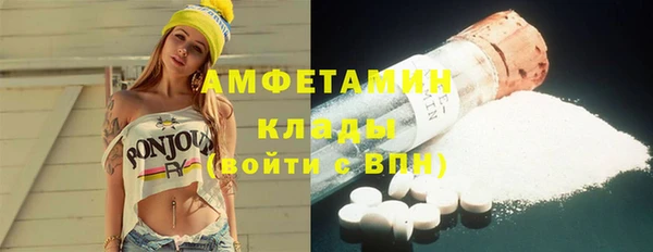 индика Майский
