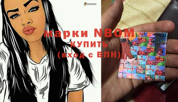 индика Майский