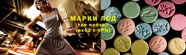 индика Майский