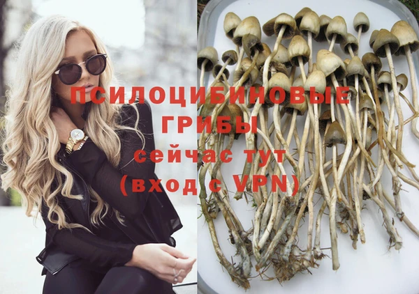 стаф Магас