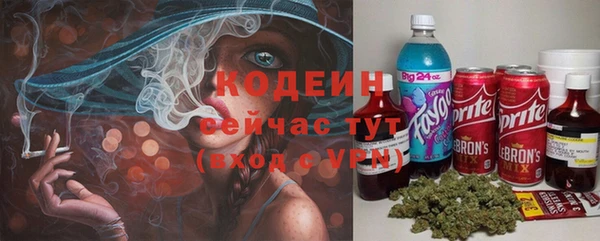индика Майский